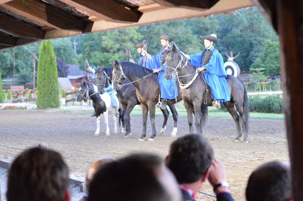 Equestrian show