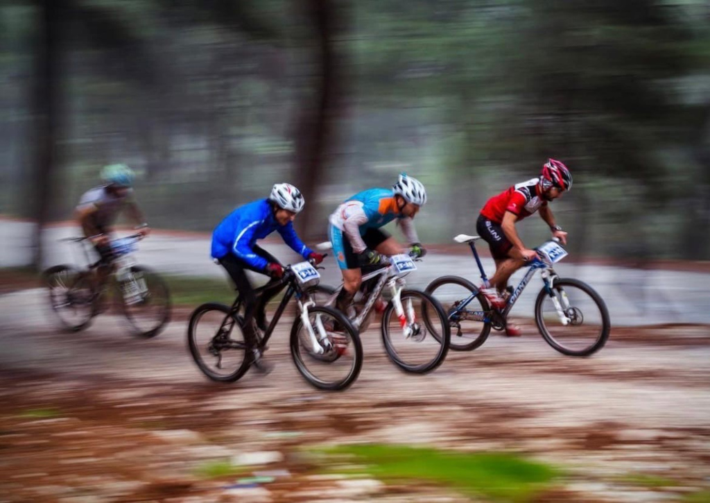 Activities in Turkey