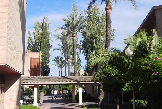 Campus of the University of Cordoba Campus of the University of Cordoba