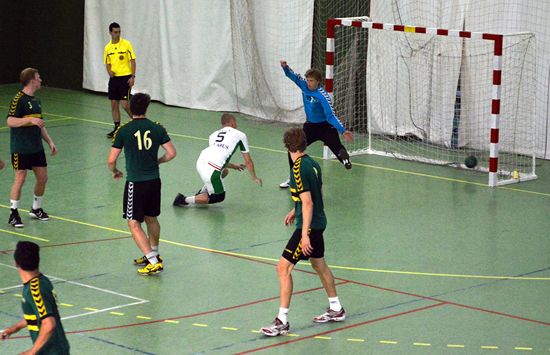 Men's handball Men's handball
