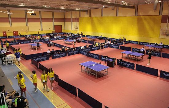 Table Tennis sports venue Table Tennis sports venue