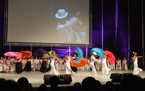 Cultural programme Cultural programme