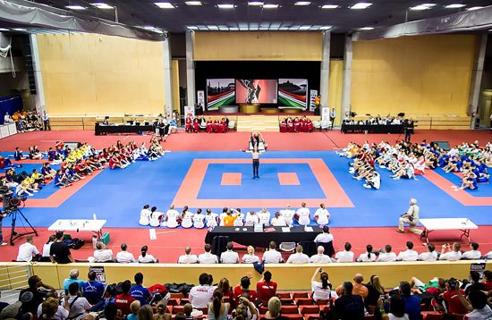 Artistic performance at the Opening ceremony Artistic performance at the Opening ceremony