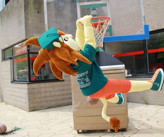 Roffa in action Roffa in action