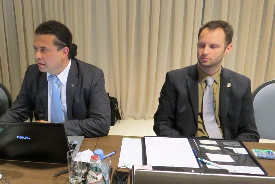 Staff report by Mr Perosa and Mr Pisl Staff report by Mr Perosa and Mr Pisl