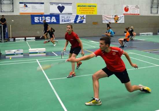 Badminton competitions Badminton competitions