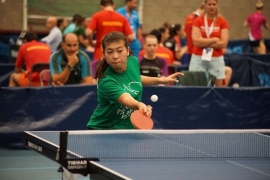 Diversity of university sport