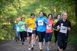 SOLA Relay 2014 attracts over 900 teams