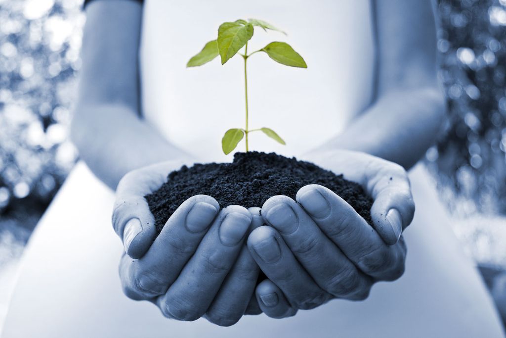 Development programme