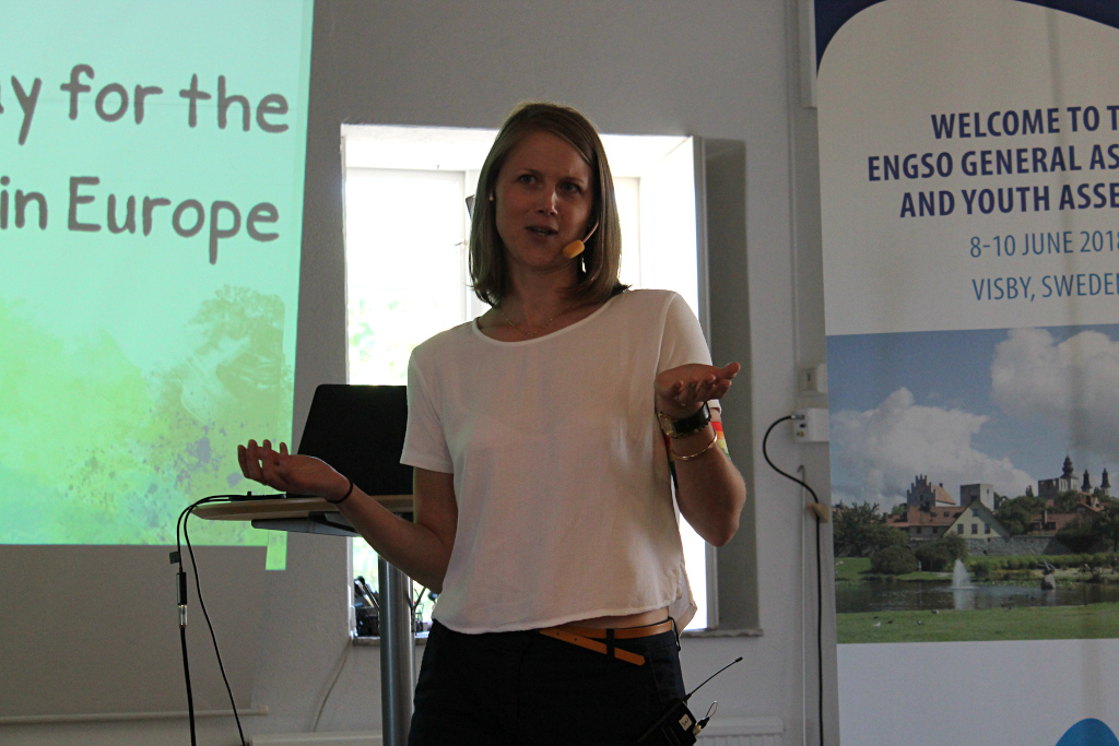 Ms Orsolya Tolnay presented the ASPIRE project 