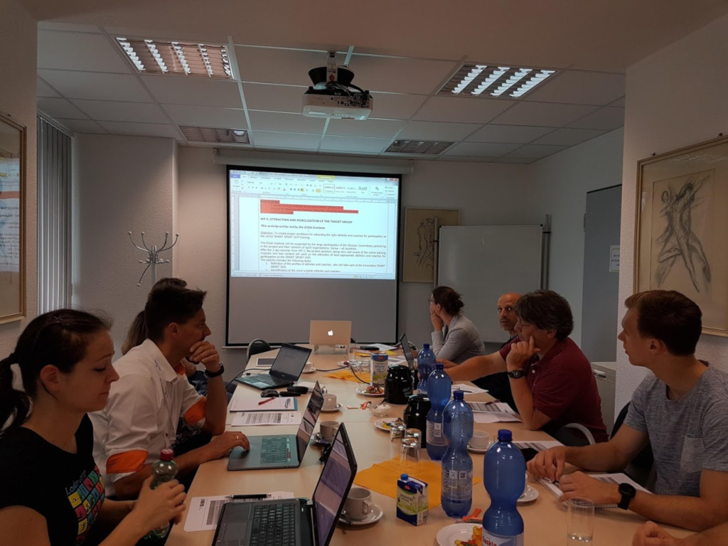 Partners discussing the project implementation details