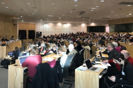 EUSA at the Council of Europe’s 2018 Winter Conference of INGOs