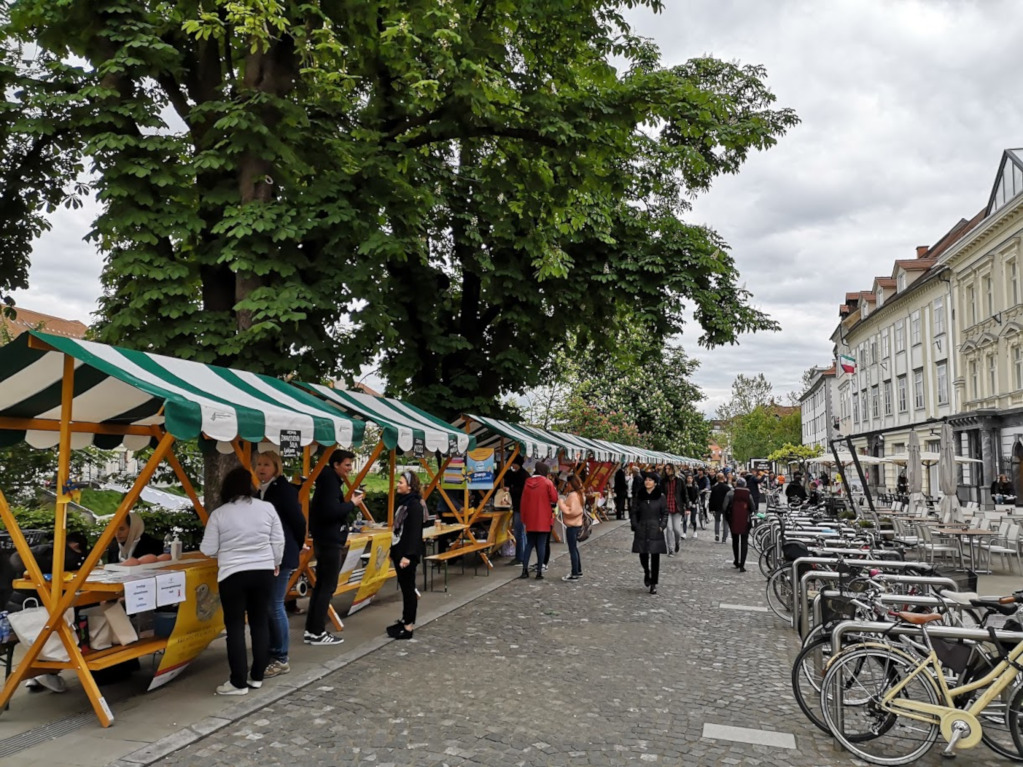 Happy Day of Volunteering Slovenia 2019 1