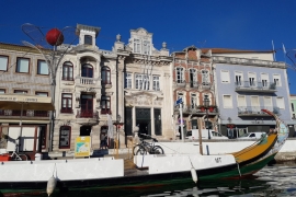 Aveiro getting ready for EUSA anniversary events in 2019