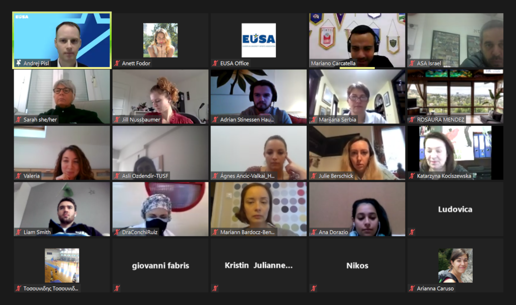 Webinar participants