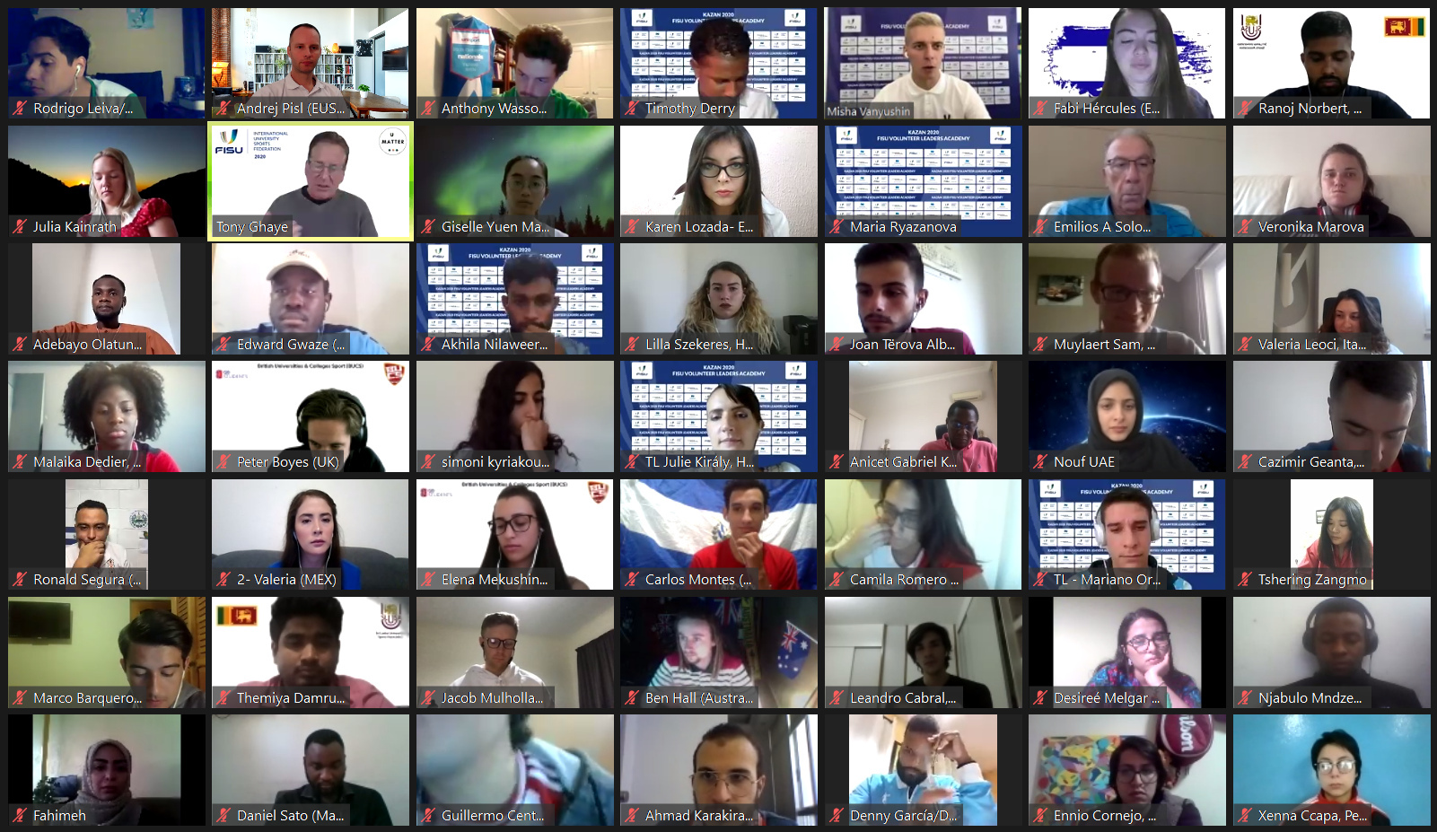 Participants in the online sessions