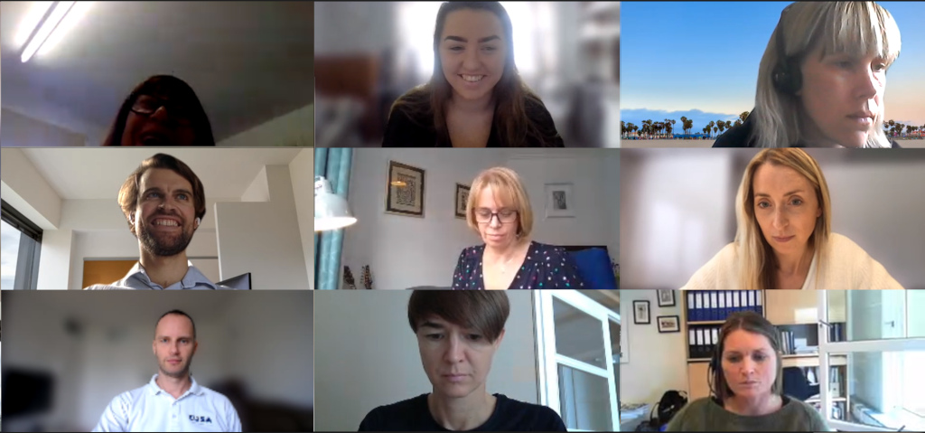 Project partners in the online meeting