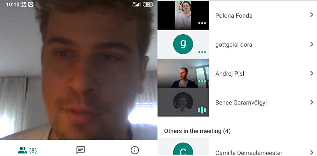 Online meeting of the SK4YS project