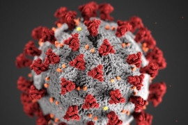 Events affected by COVID-19