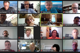 EUSA EC members gather online