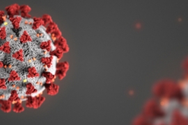 EUSA and EUG2020 Statement on Coronavirus