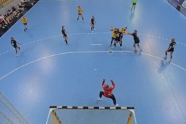 EHF and EUSA meet virtually