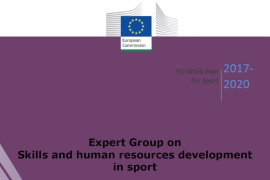 Expert Group on Skills virtual meeting