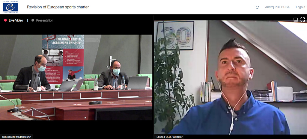 Plenary sessions with presentations