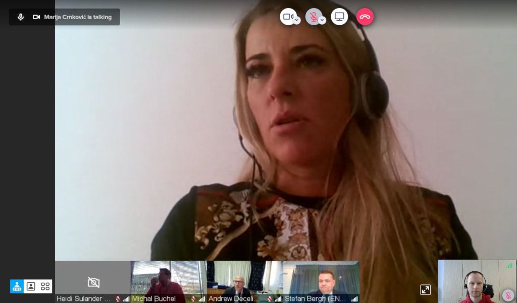 Workshops discussing the European Sport Charter, its implementation and monitoring