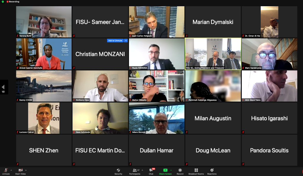 Online participation at the meeting