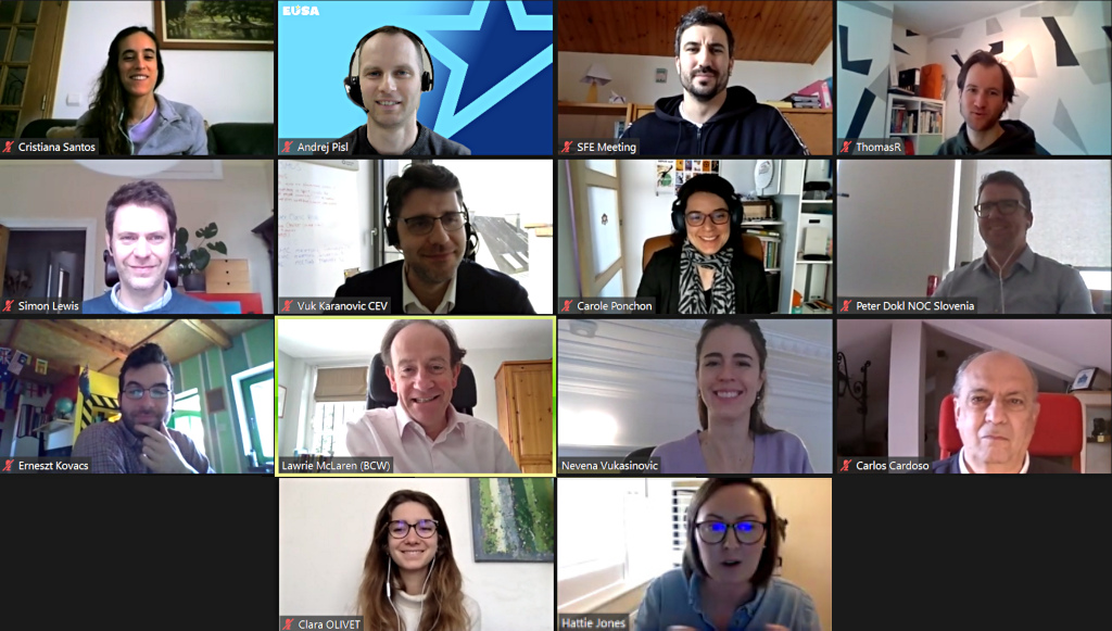 Partners discussion at the online kickoff meeting