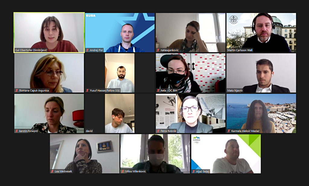 Online meeting of MLEA partners