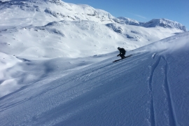 Swedish university sport makes digital adaptations