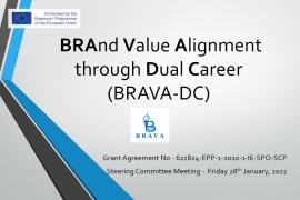 BRAVA partners meet online in January