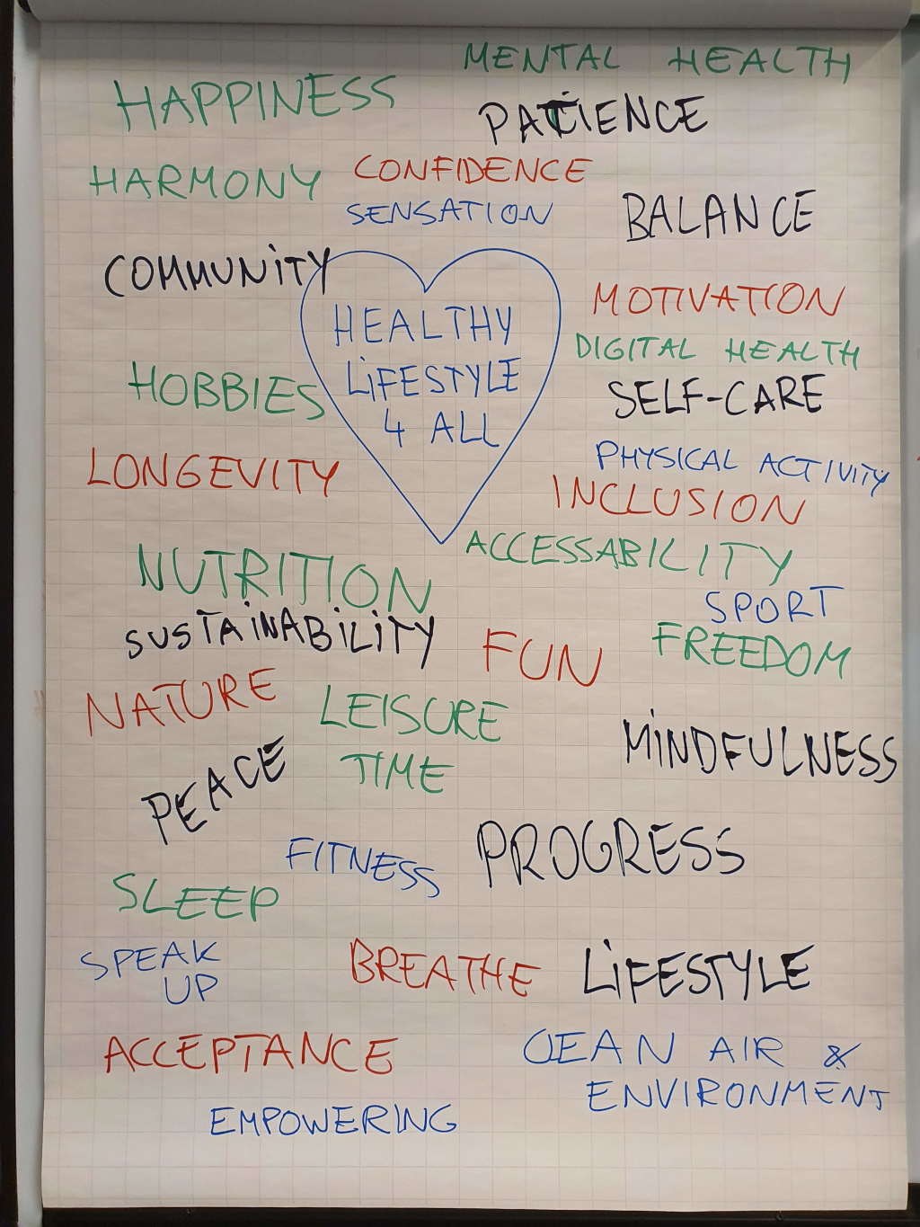 Mindmap of the brainstorming session on Healthy Lifestyle 4 All