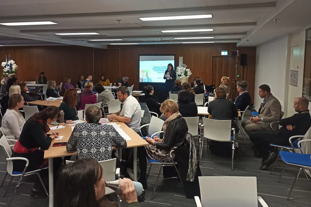 EUSA takes part in consultation on volunteering in Ljubljana