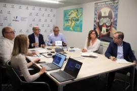 FISU online Executive Committee Meeting