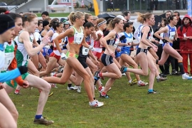 29 World University Championships in 2010